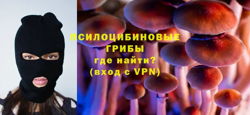 ссылка на мегу как зайти  Берёзовский  Галлюциногенные грибы Psilocybe 